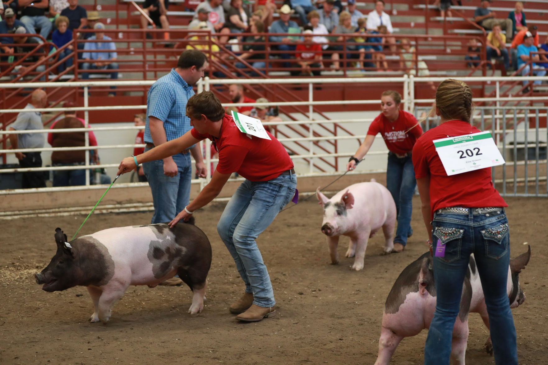 071119_HallCoFair56_bjs.JPG